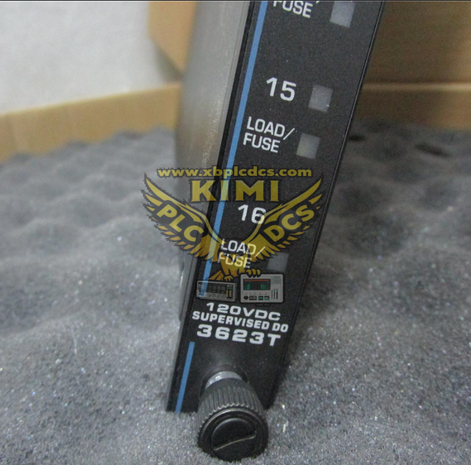 TRICONEX 3623T (2).png