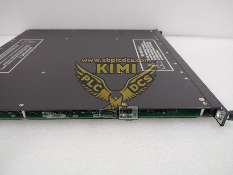 TRICONEX3625C1 TRICON3625C1 32-Channel 24 VDC Supervised Digital Output Module--KIMI(图5) TRICONEX3625C1 (1).png