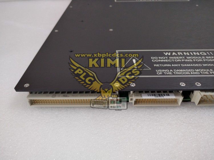 TRICONEX3625C1 TRICON3625C1 32-Channel 24 VDC Supervised Digital Output Module--KIMI(图3) TRICONEX3625C1 (5).png