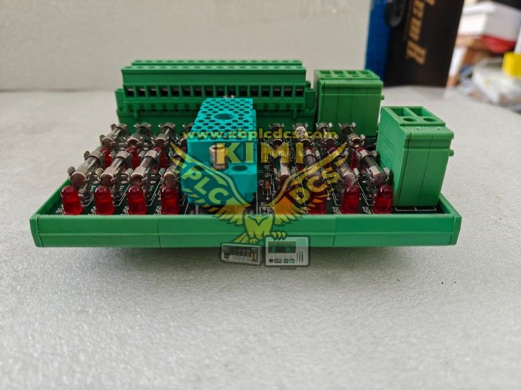 TRICONEX 9563-810 24VDC Digital Input Termination Panel--KIMI(图3) TRICONEX9563-810 (5).png