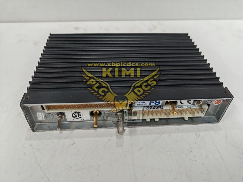 TRICONEX DI3361 (3).png