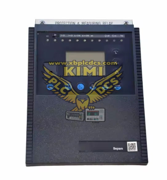 SCHNEIDER SEPAMM20 PLC/DCS Module Original New Stock(图1) image.png