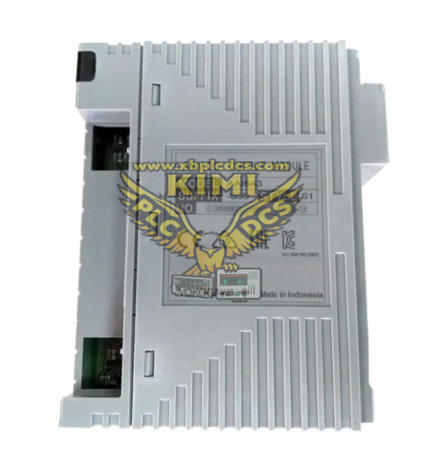 YOKOGAWA AAI543-S50 Analog Output Module(图2) image.png