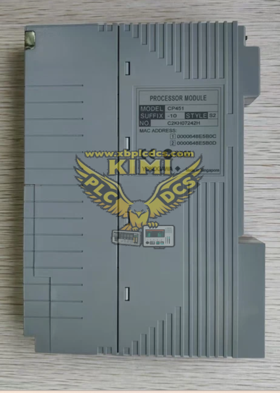 YOKOGAWA CP451‑10 S2 Product Description(图1) image.png
