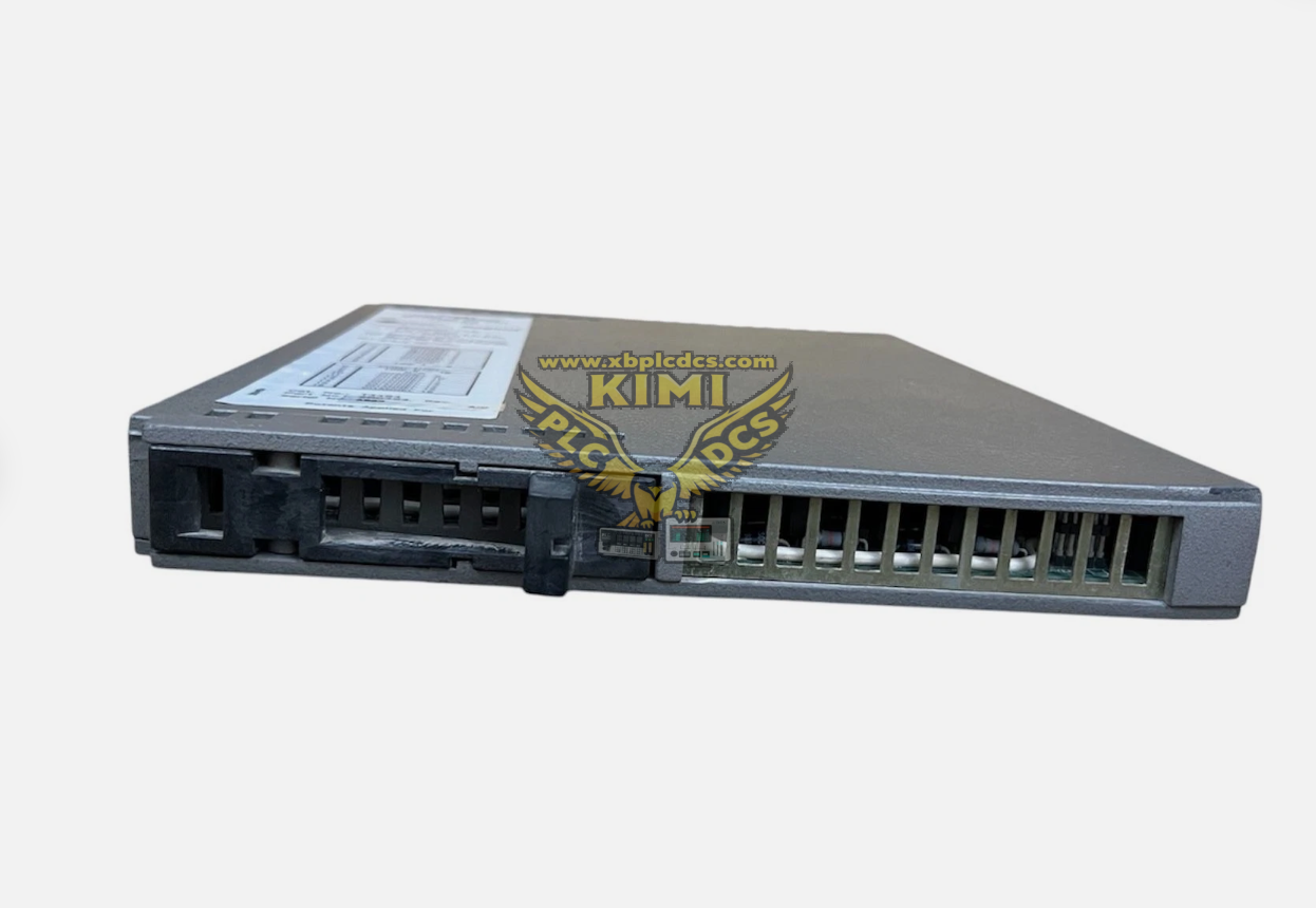 ICS Triplex T8442 Product Brief Description(图1) image.png