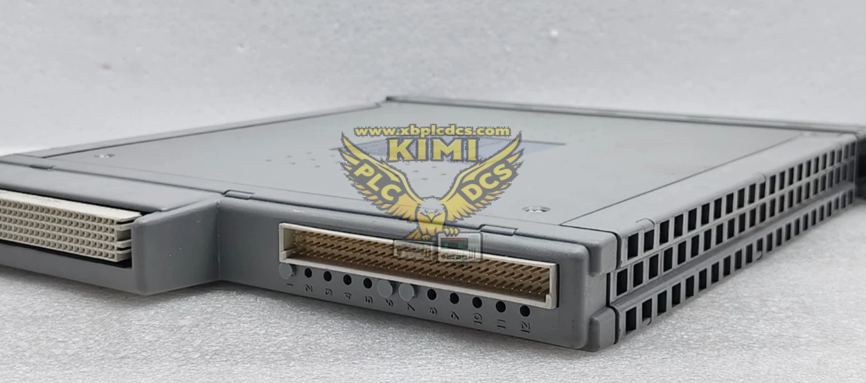 ICS Triplex T8480C Product Brief Description(图1) image.png