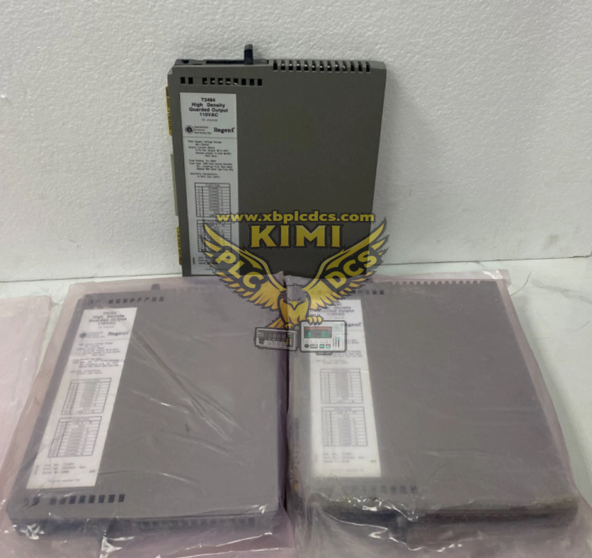 ICS Triplex T9191 Product Brief Description(图1) image.png
