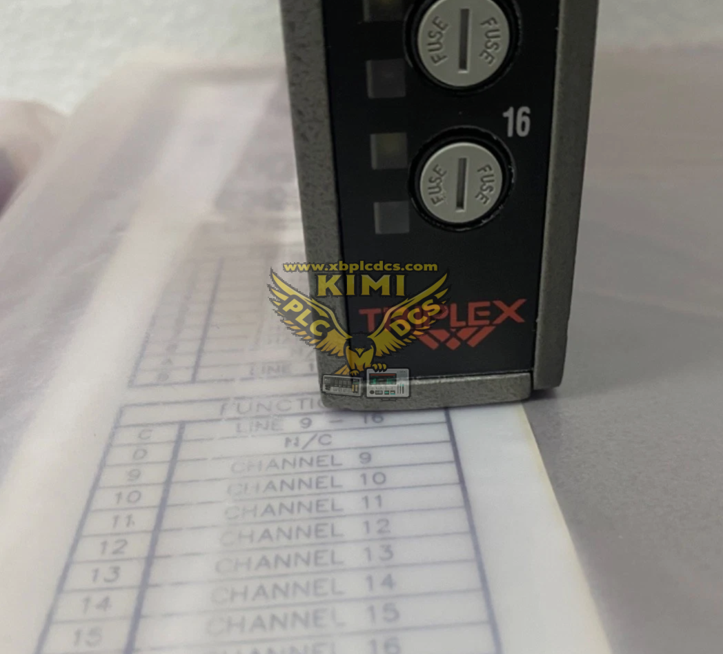 ICS Triplex T9193 Product Brief Description(图1) image.png