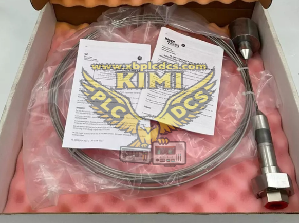 GE RS-FS-9009-03--KIMI(图1) image.png