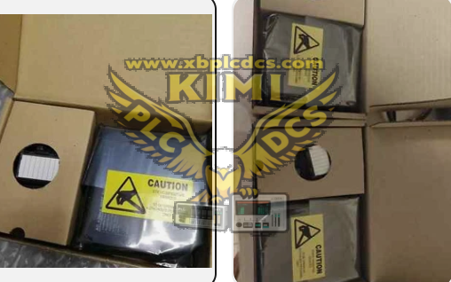 Emerson VE4005S2B4 DeltaV M‑Series 8‑Channel 4-Wire Analog Input Card(图1) image.png