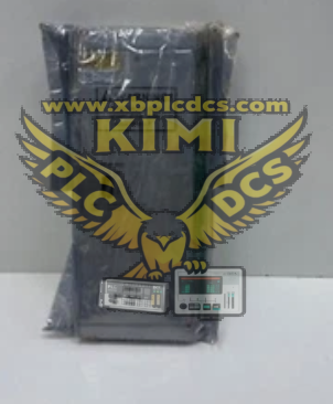 159840-01 Bently Nevada Acceleration Interface Module(图1) image.png